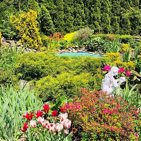 Pod Starą Skocznią