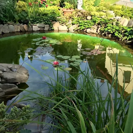 Pod Stara Skocznia Panzió