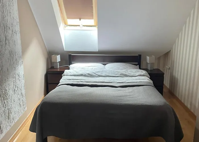 住宿加早餐酒店 Pod Stara Skocznia