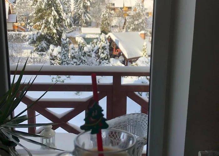 Pod Stara Skocznia 3* 维斯拉