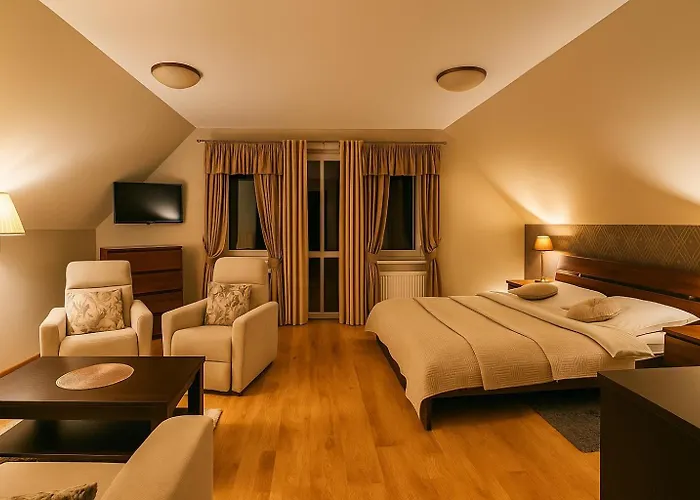 住宿加早餐酒店 Pod Stara Skocznia 维斯拉