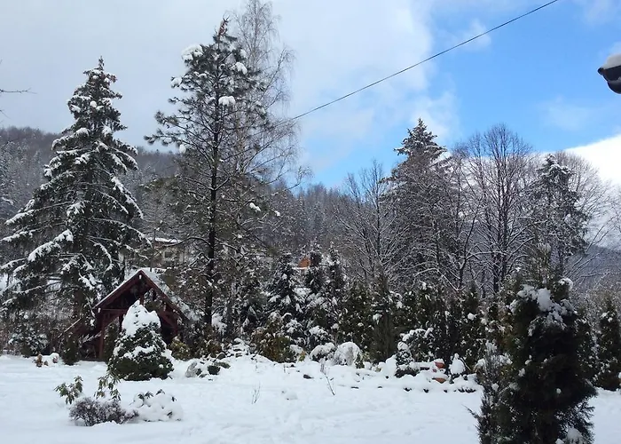 Pod Stara Skocznia 住宿加早餐酒店 维斯拉