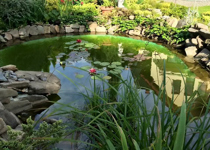 Pod Stara Skocznia 住宿加早餐酒店