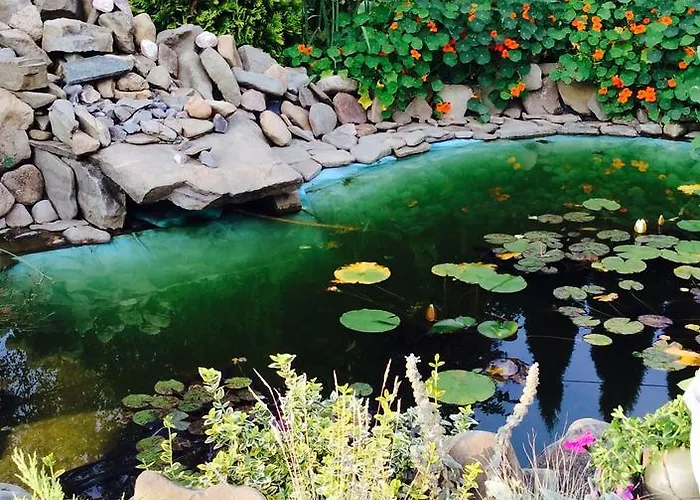 住宿加早餐酒店 Pod Stara Skocznia 维斯拉